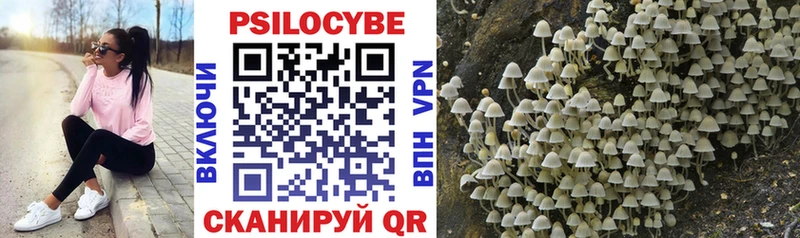Псилоцибиновые грибы Magic Shrooms  ссылка на мегу как войти  Домодедово 